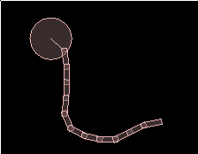 revolute-joint-details